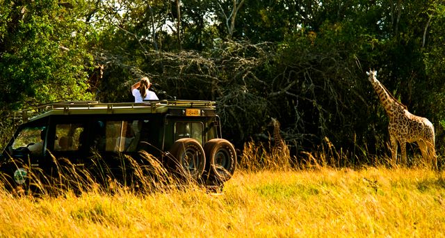 Akagera National Park 